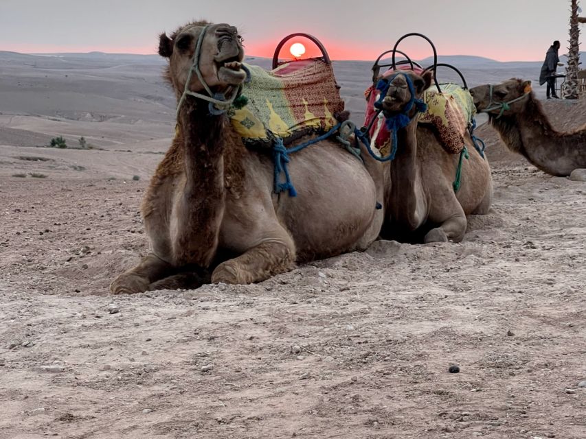 Marrakech Agafay Desert Quad Biking With Dinner and Sunset - Optional Activities and Fees