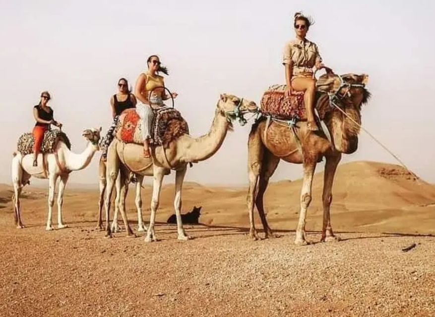 Marrakech: Agafay Desert Tour With Quad, Camel Ride & Dinner - Common questions