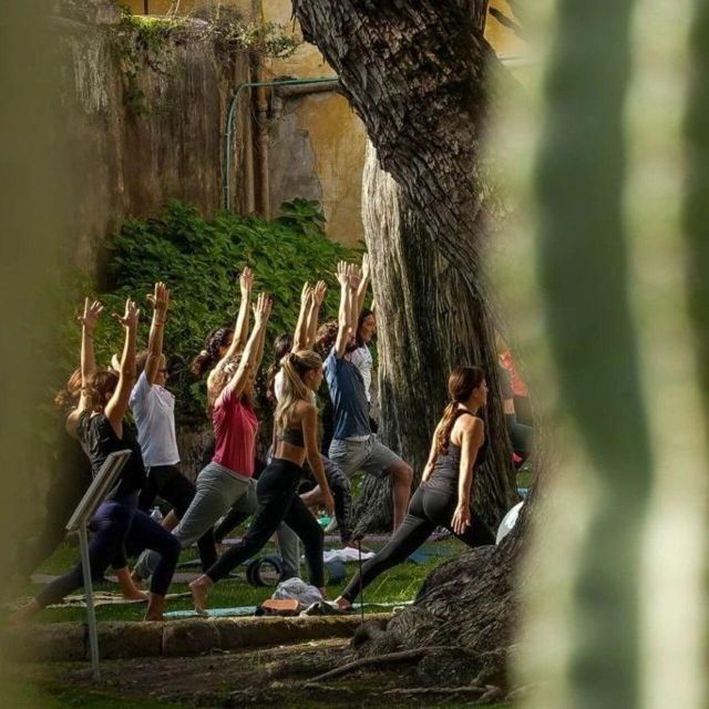 Marrakech: Experience Yoga in Nature's Haven - Detox Day - Last Words