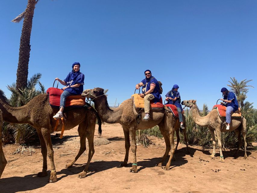 Marrakech: Guided Quad Bike and Camel Ride Tour With Tea - Last Words