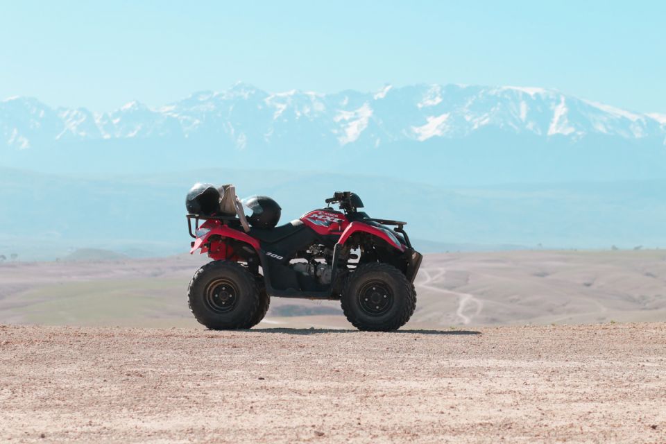 Marrakech: Half-Day Desert Quad & Dromedary Tour - Last Words