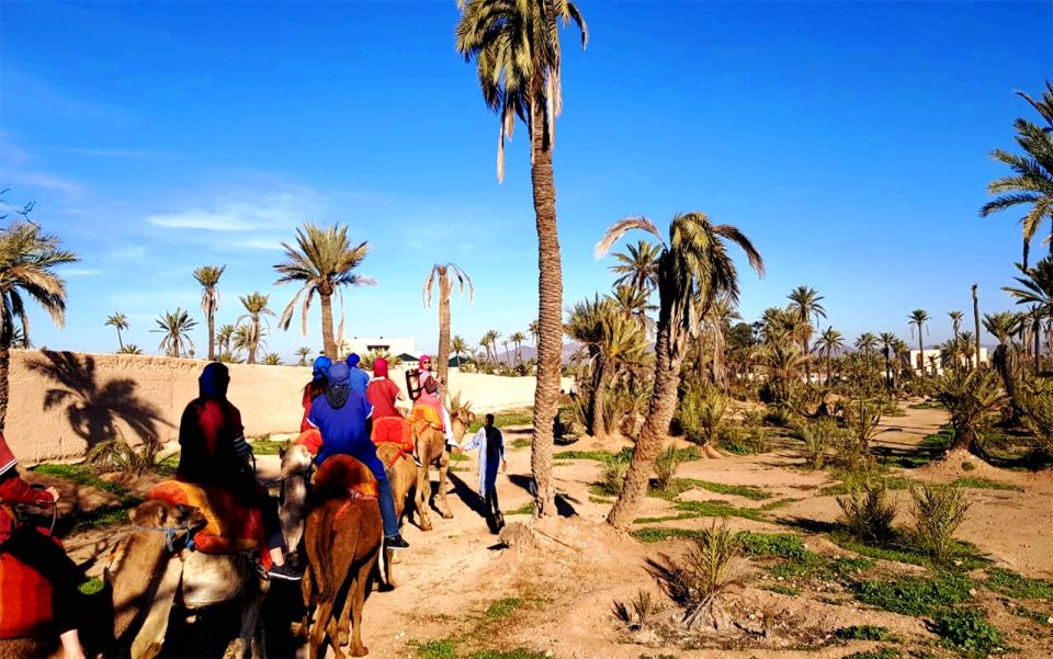 Marrakech: Half-day Dunes Trip With Buggy and Camel Ride - Last Words