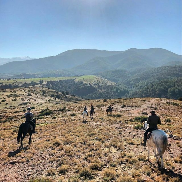 Marrakech: Highlight Day Trip Zip Line With Berber Village - Common questions