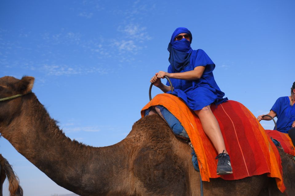 Marrakech: Pack Quad and Camel Ride in the Palm Grove - Last Words