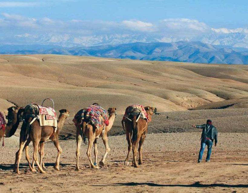 Marrakesh: Agafay Desert Camel Ride and ATV Tour - Common questions