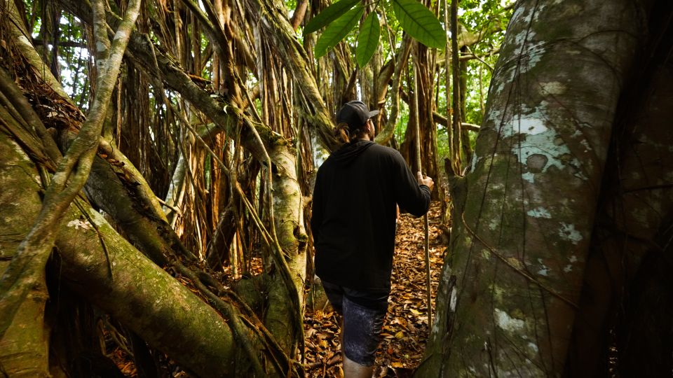 Maui: Honolua Ridgeline Informational Hike - Last Words