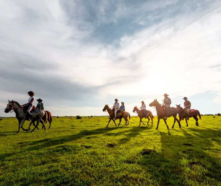 Medellin: Guided Tour on Horseback in Nature - Last Words