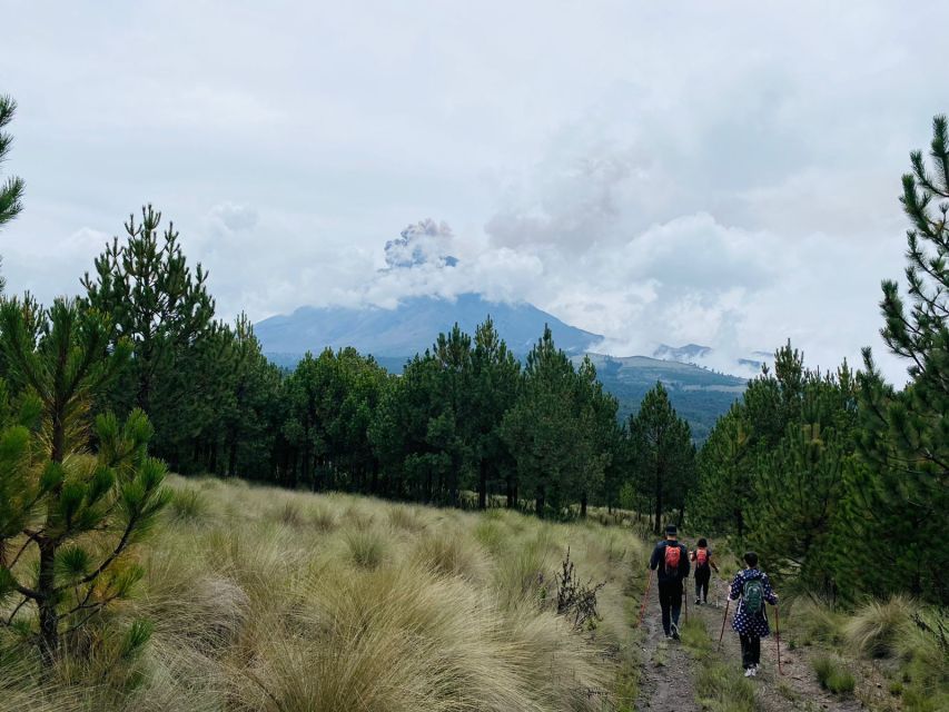Mexico City: Guided Volcano Trek With Lunch - Last Words