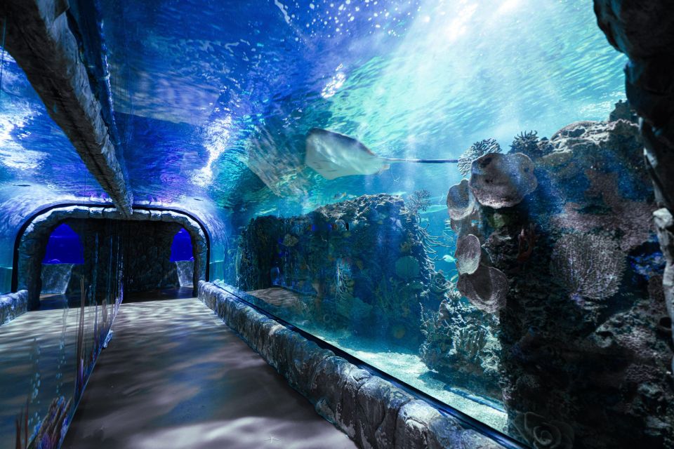 Mexico City: Inbursa Aquarium Ticket With VR Option - Last Words