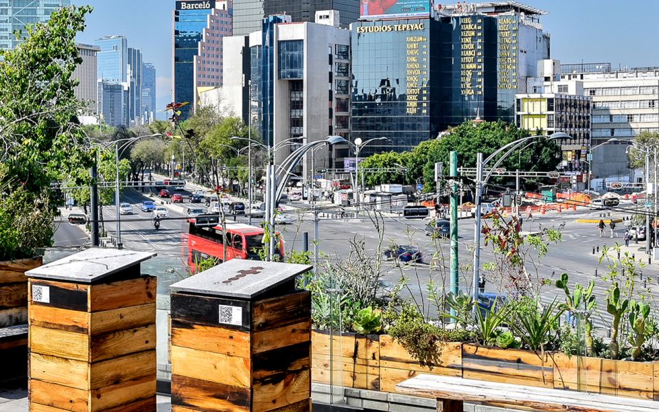 Mexico City: Panoramic Views Rooftop Terraces Guided Tour - Booking Information