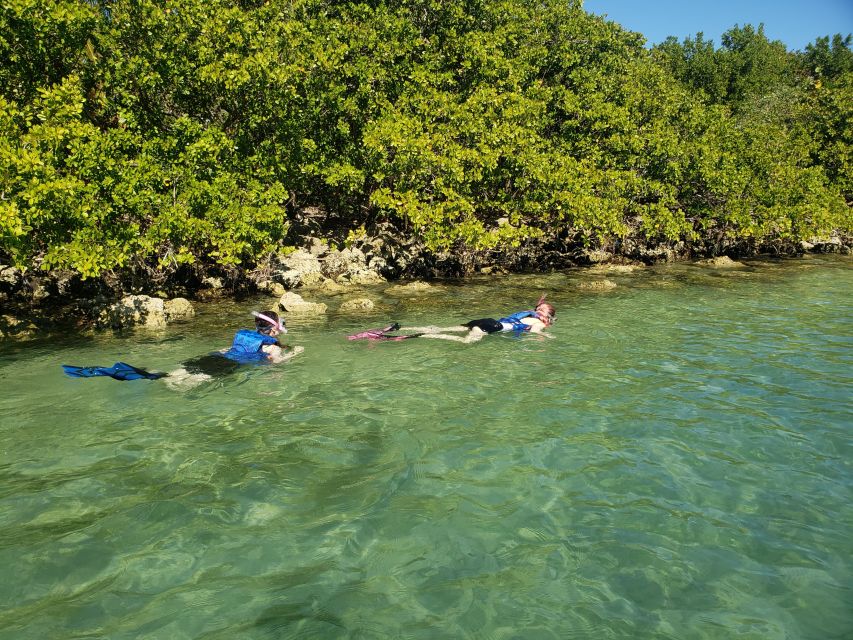 Miami: Island Snorkeling by XXL Stand Up Paddle Board - Common questions