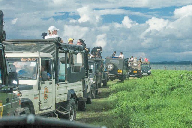 Minneriya National Park Private Safari - Common questions