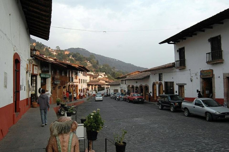 Monarch Butterfly Mexico Reserve Sanctuary & Valle De Bravo - Folk Art Museum Visit