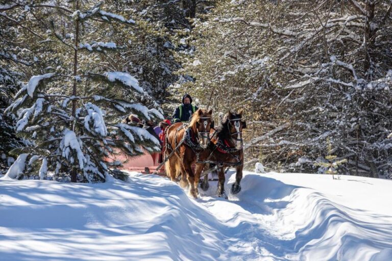 Mont-Tremblant: Sleigh Ride W/ Storytelling & Hot Chocolate