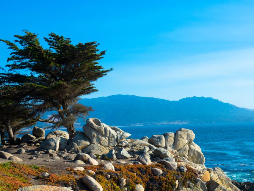 Monterey Peninsula Sightseeing Tour Along the 17 Mile Drive - Last Words