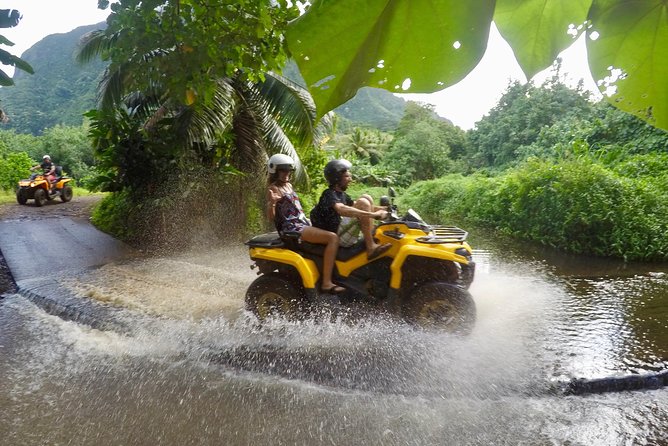 Moorea Solo or Twin ATV Tour - Visitor Experience Insights