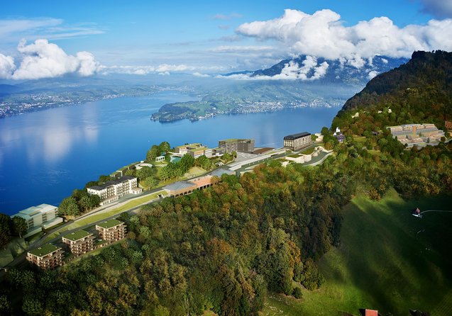 Mount Bürgenstock Independent Tour From Lucerne - Last Words