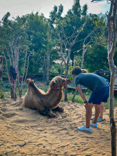 Mui Ne: Private Sand Dunes Jeep Tour at Sunrise or Sunset - Common questions