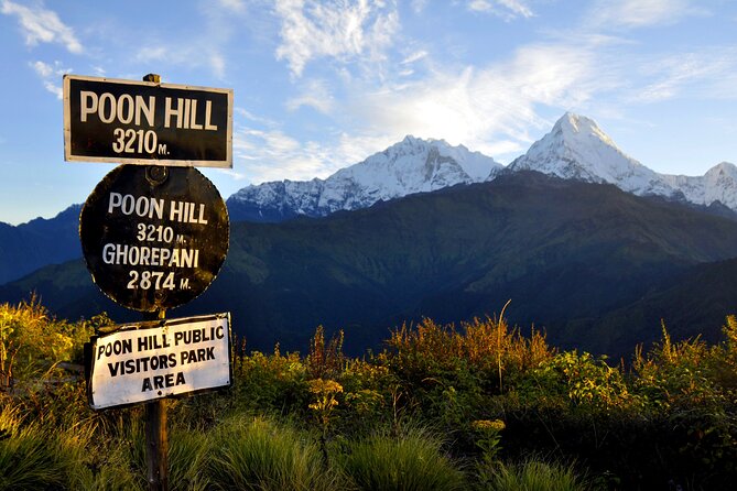 Multi-Day Sites of Nepal Tour From Kathmandu With Poon Hill Trek- 9 Days - Day 7: Ghandruk to Pokhara