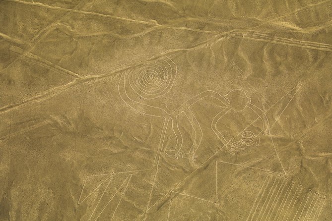 Nazca Lines From Nazca Airport - Last Words