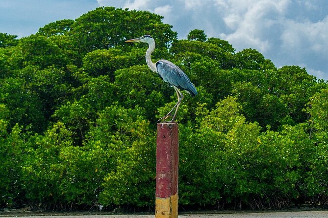 Negombo City Tour - Last Words