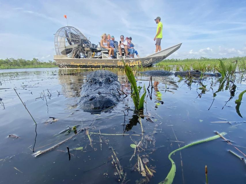 New Orleans: 10 Passenger Airboat Swamp Tour - Weather Policy