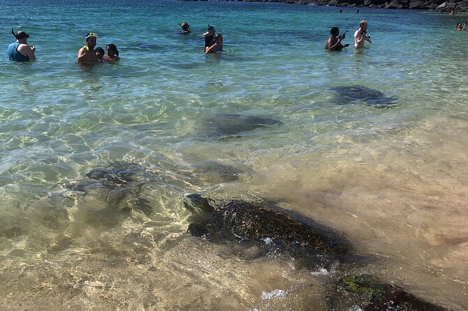 North Shore / Waimea, Falls Day & Swim With Turtles - Common questions