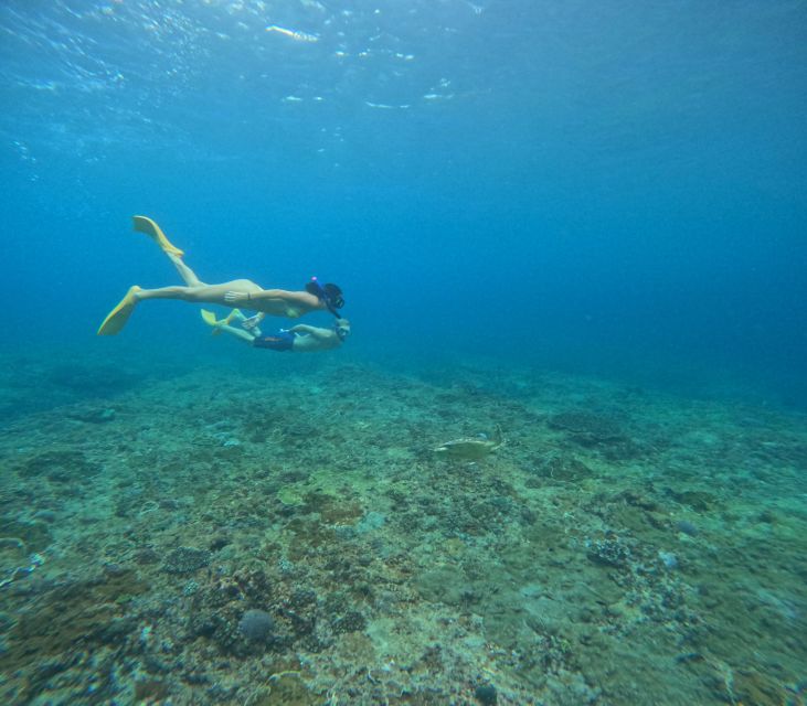 Nusa Penida Island - Sunset & Three Island Snorkelling Trip - Last Words