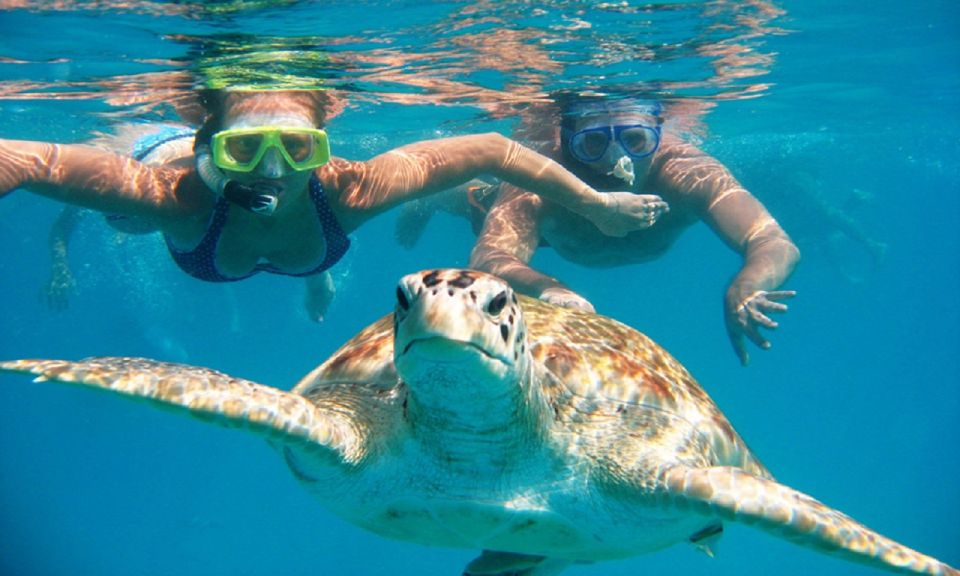 Oahu: 16-Point Guided Circle Tour With Snorkeling and Dole - Last Words