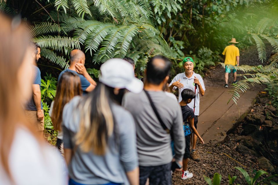 Oahu: Manoa Falls Waterfall Hike With Lunch and Transfers - Last Words