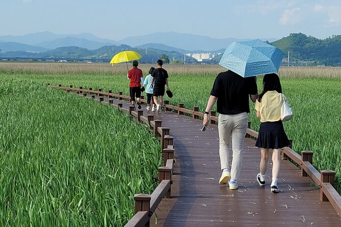 One Day Tour in Boseong Tea Plantation & Suncheon National Garden - Enjoying the Experience