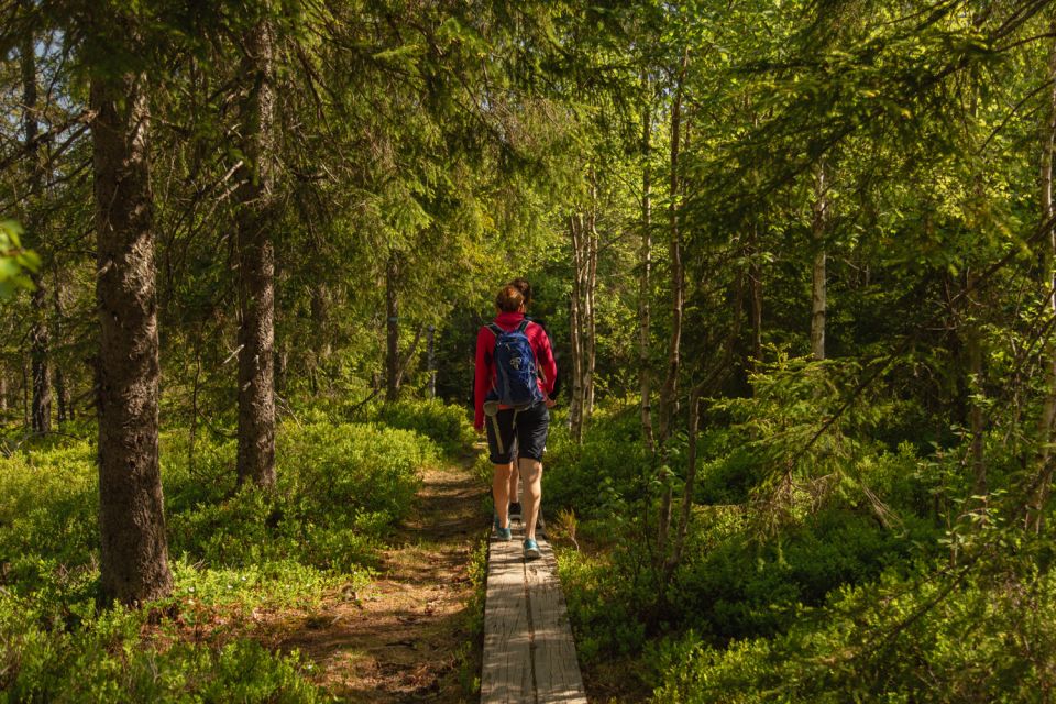 Oslo: Skjennungstoppen Wildlife Forest Hiking Tour - Last Words