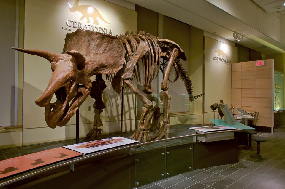 Ottawa: Canadian Museum of Nature Admission - Booking and Reservation Tips