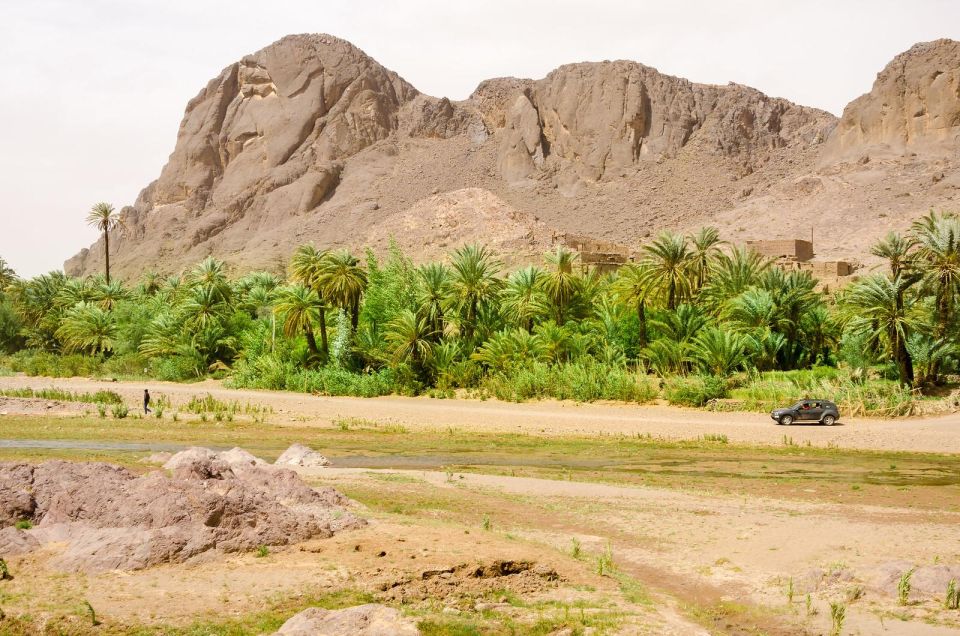 Ouazazate: Kasbah Ait Ben Haddou, Fint Oasis, Film Studios - Last Words