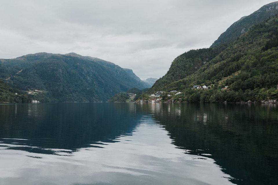 Øystese: Exclusive RIB Hardangerfjord Safari to Fyksesund - Additional Tips for a Memorable Experience