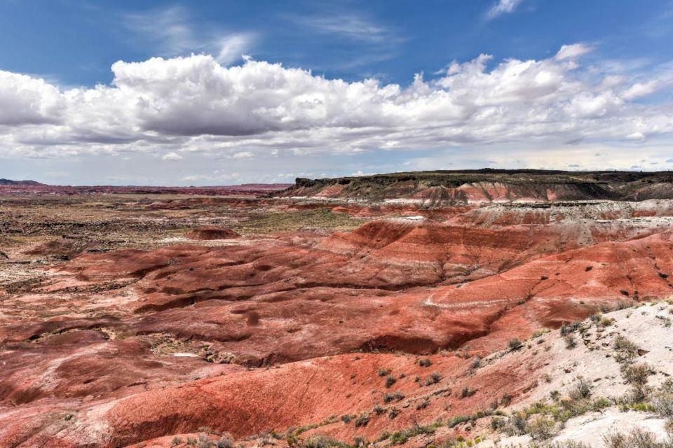 Petrified Forest National Park Self-Guided Audio Tour - Common questions