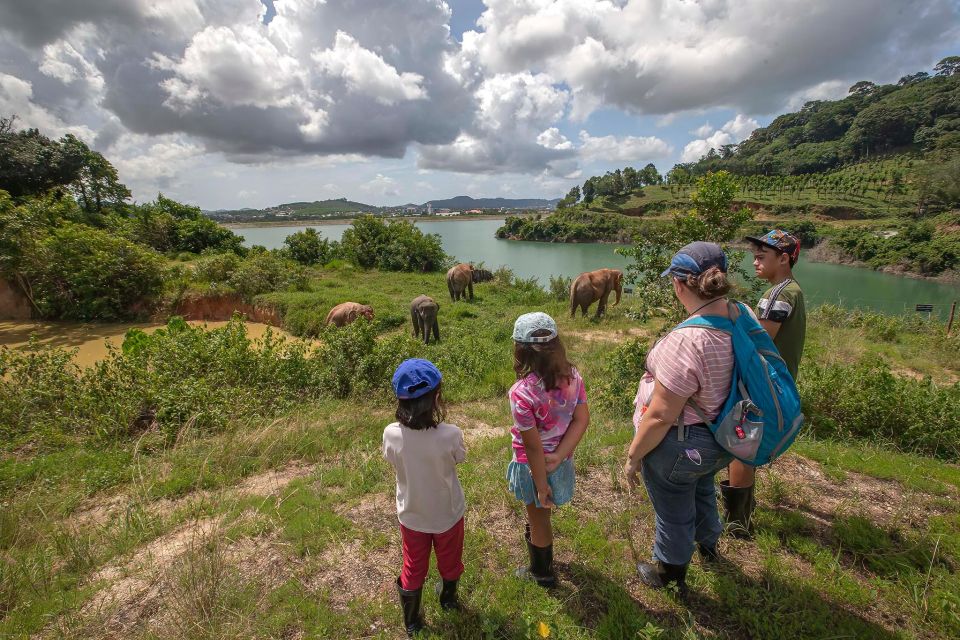 Phuket: Ethical Elephant Nature Park Visit With Lunch