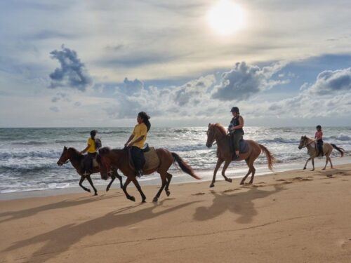 Phuket: Kamala Beach Horse Riding Activity - Last Words