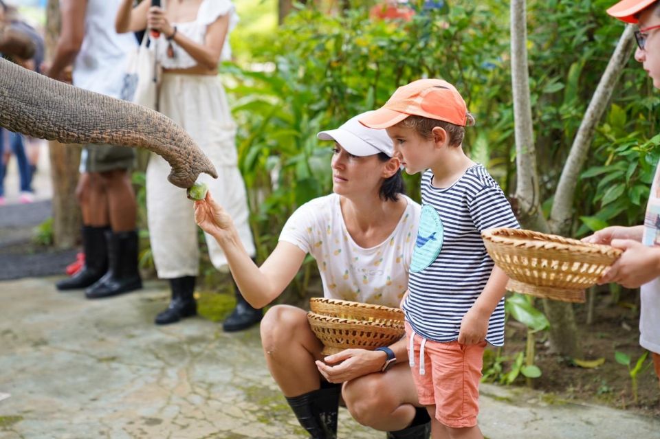 Phuket: Walk and Feed Ethical Elephant Nature Park Tour - Last Words