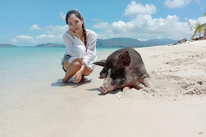 Pig Island Snorkeling & Sightseeing Tour By Speedboat From Koh Samui - Traveler Feedback