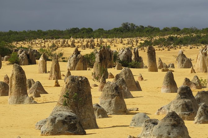 Pinnacles & Rottnest Island Scenic Air & Ground Tour - Last Words