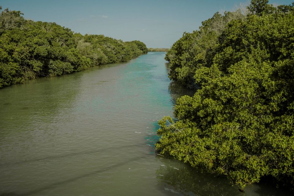 Playa Del Carmen/Cancún: Rio Lagartos & Las Coloradas Tour - Last Words