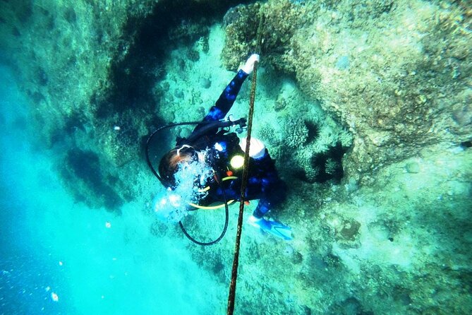 Pleasure Scuba Diving in Fujairah for Certified Diver - Post-Dive Refreshments