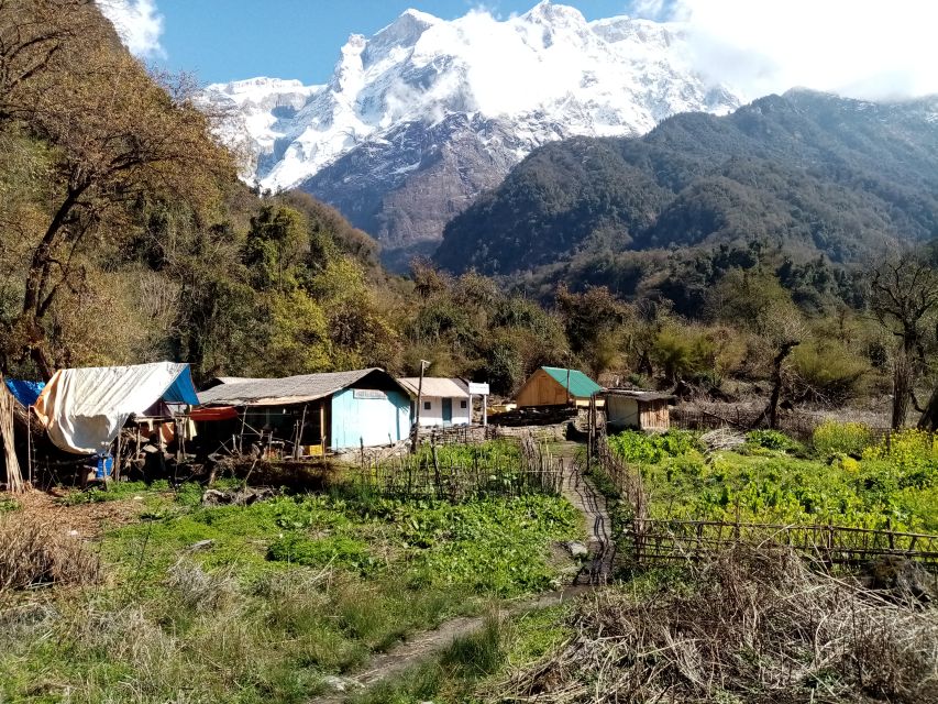 Pokhara: 1 Night 2 Days Kapuche Glacier Lake and Sikles Trek - Trekking Itinerary and Route