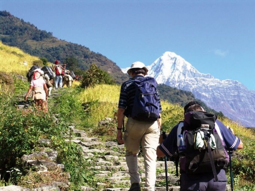 Pokhara: Guided Day Hike to Australian Base Camp - Engaging With Gurung Community