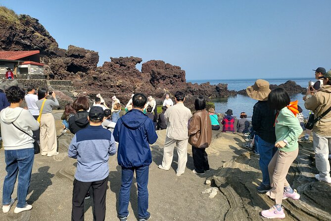 Private 2 Days Tour a Lot of Experience Driver in Jeju - Reservation and Availability Check