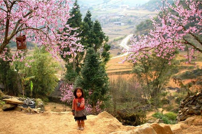 Private 3-Day Trek With Homestay Accommodation and Meals, Sapa  - Hanoi - Last Words