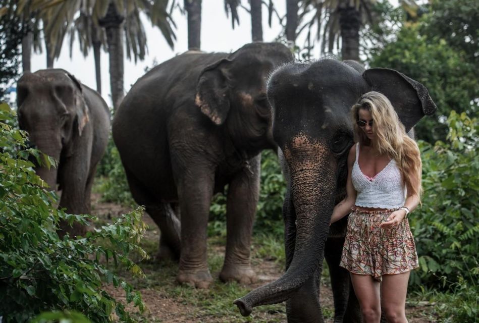 Private Beach With Bathing and Take Care Elephant - Last Words