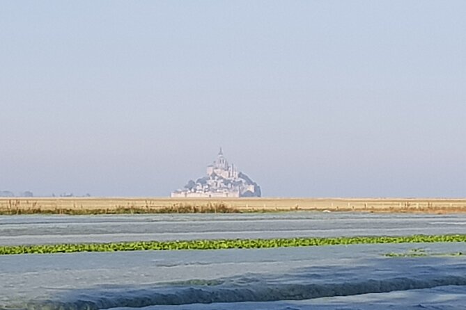Private Day Trip to Mont Saint-Michel From Saint-Malo With Local Driver-Guide - Common questions