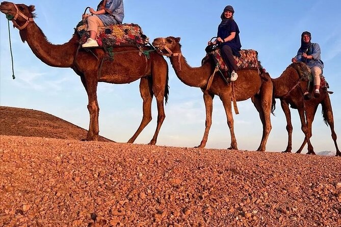 PRIVATE Dinner & Sunset With Camel to Desert Agafay From Marakech - Common questions